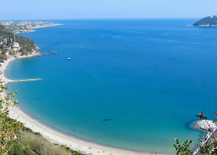 Gorgeous In With Wifi 阿拉西奥